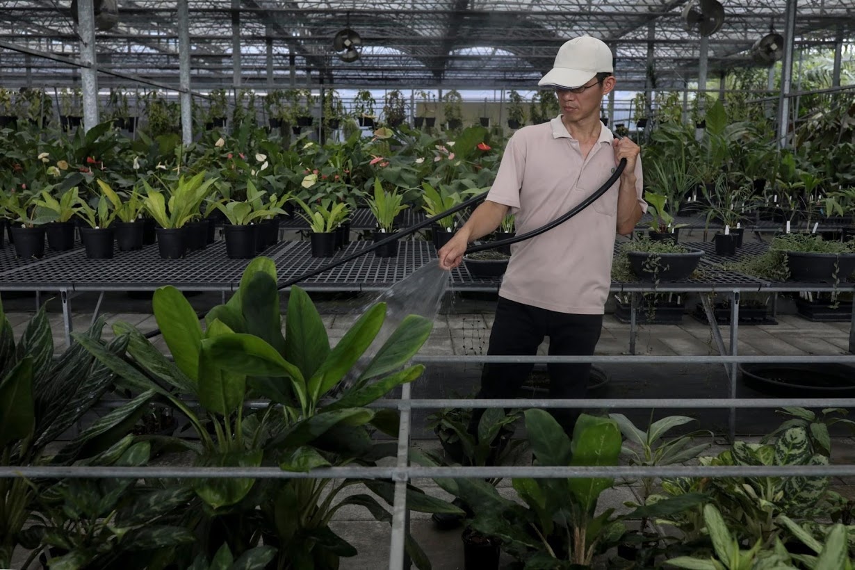 Bao ton cac loai thuc vat quy o Dai Loan anh 10