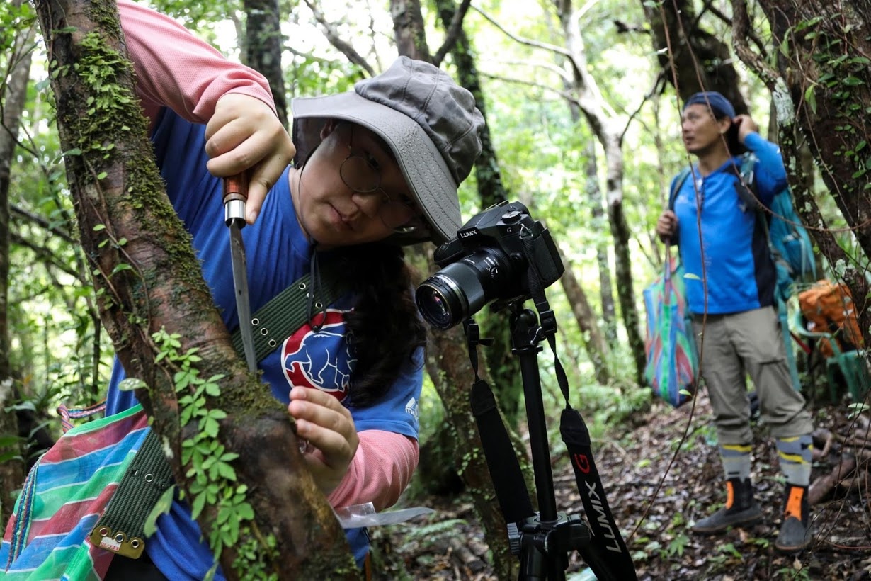 Bao ton cac loai thuc vat quy o Dai Loan anh 5