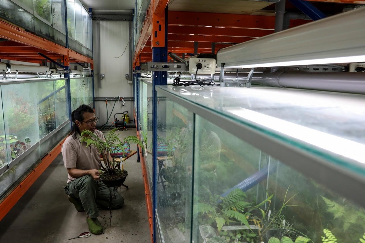 Bao ton cac loai thuc vat quy o Dai Loan anh 9