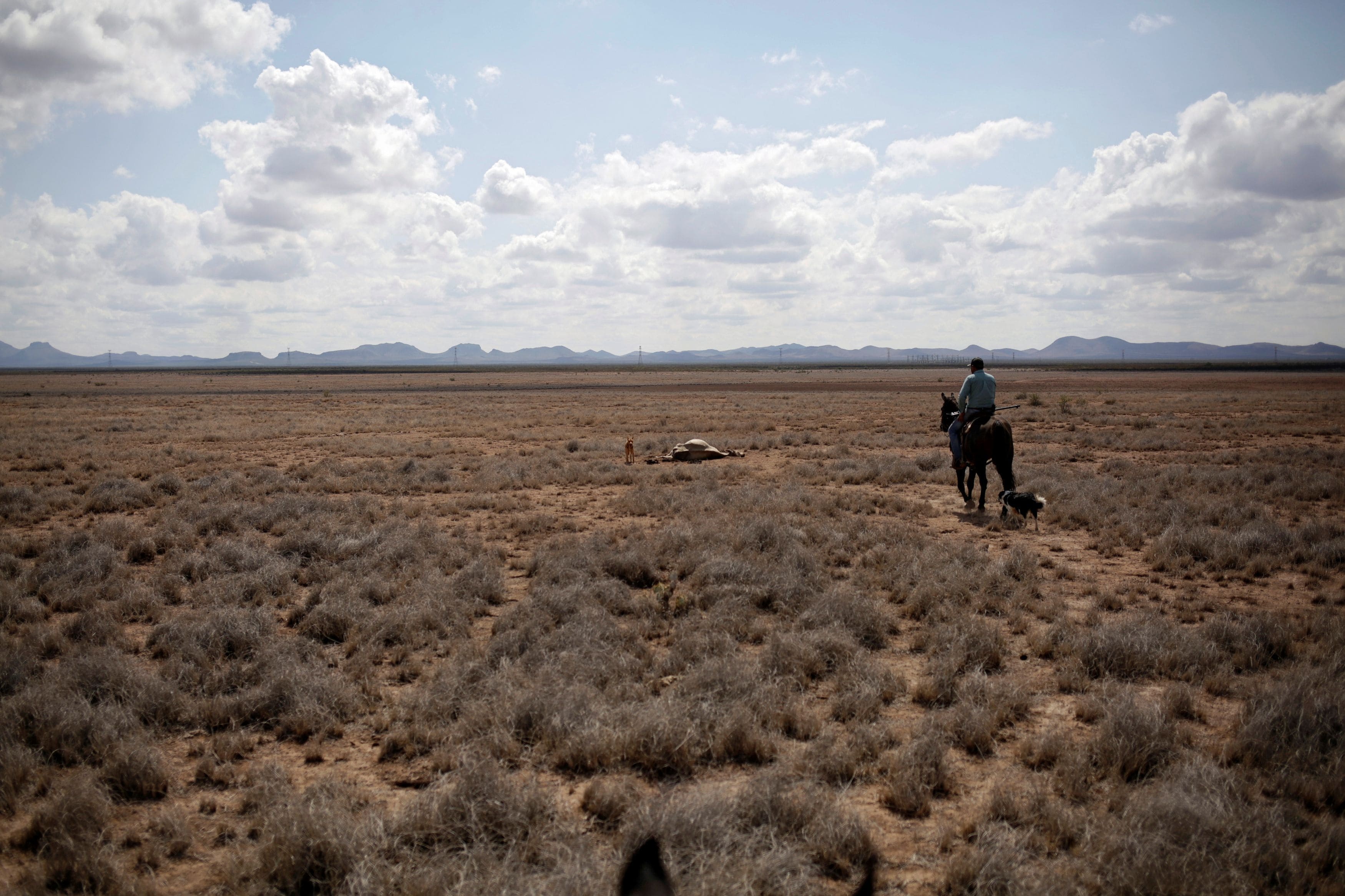 Cuoc chien gianh nuoc cua nong dan Mexico anh 3