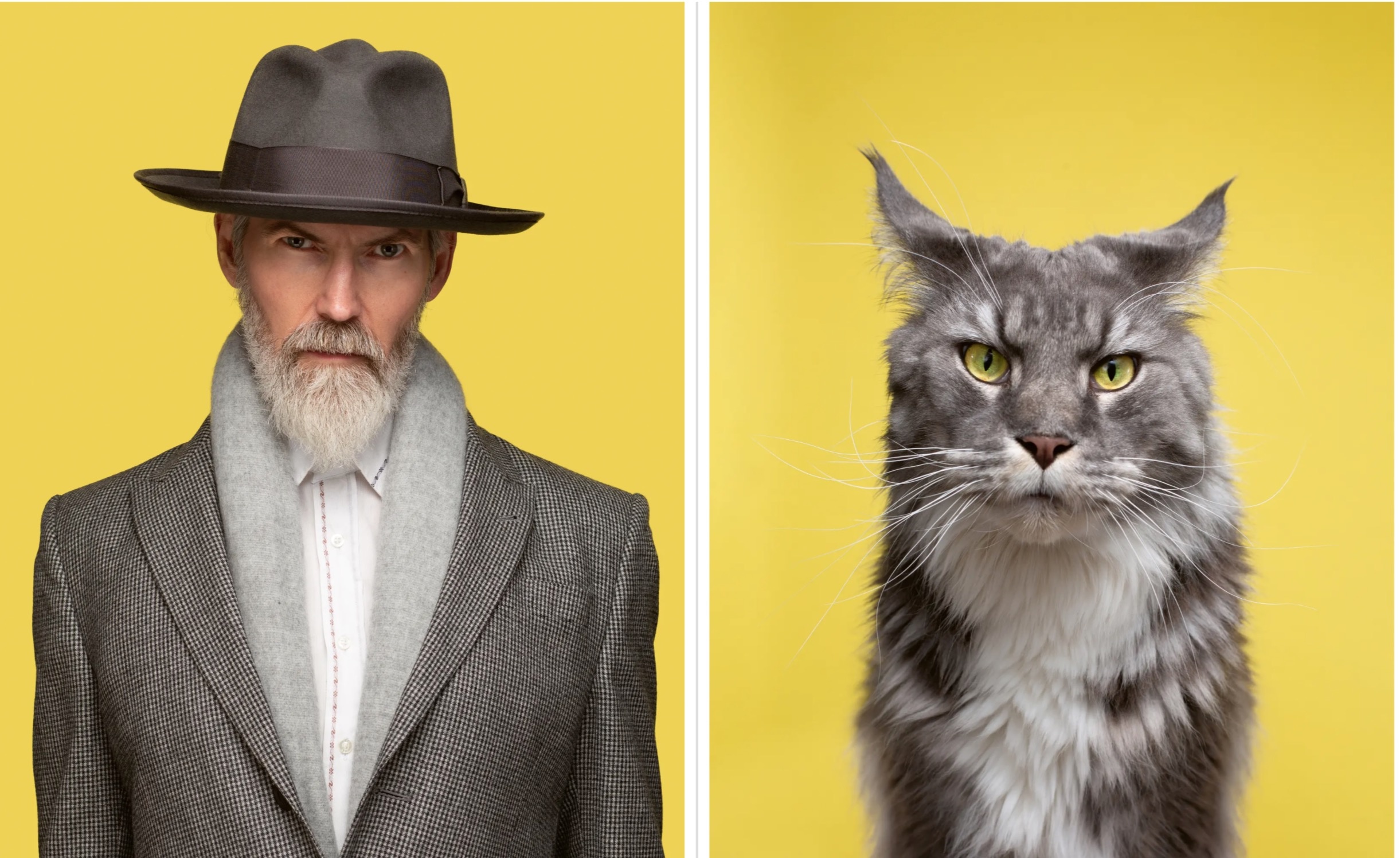 Meo giong nguoi mot cach ky la anh 2