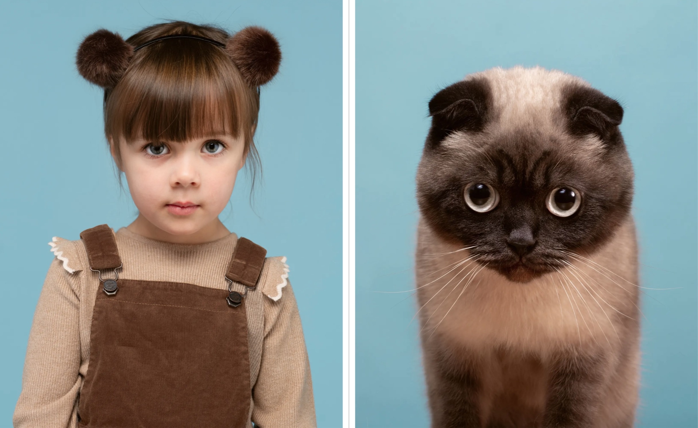 Meo giong nguoi mot cach ky la anh 3