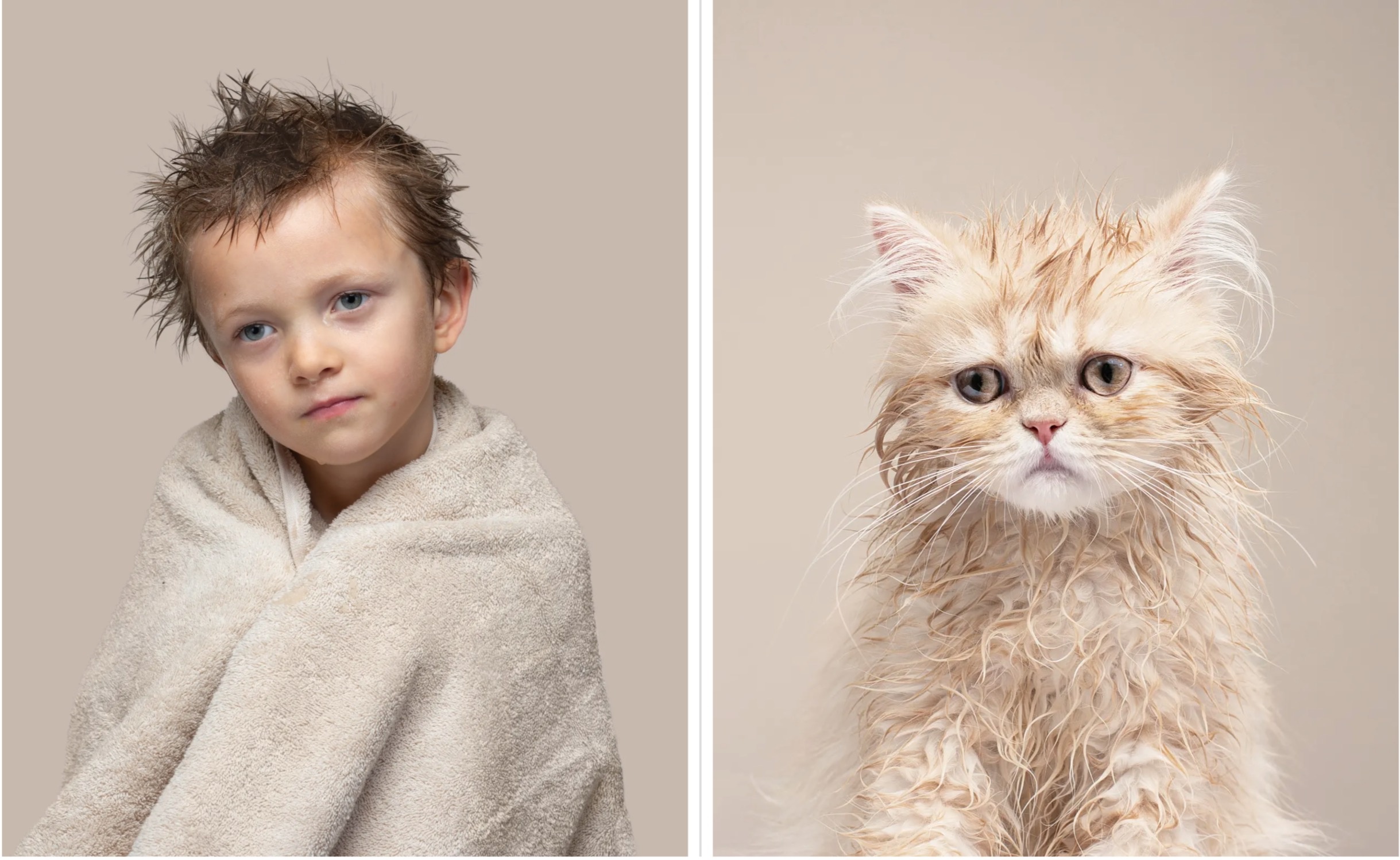 Meo giong nguoi mot cach ky la anh 4