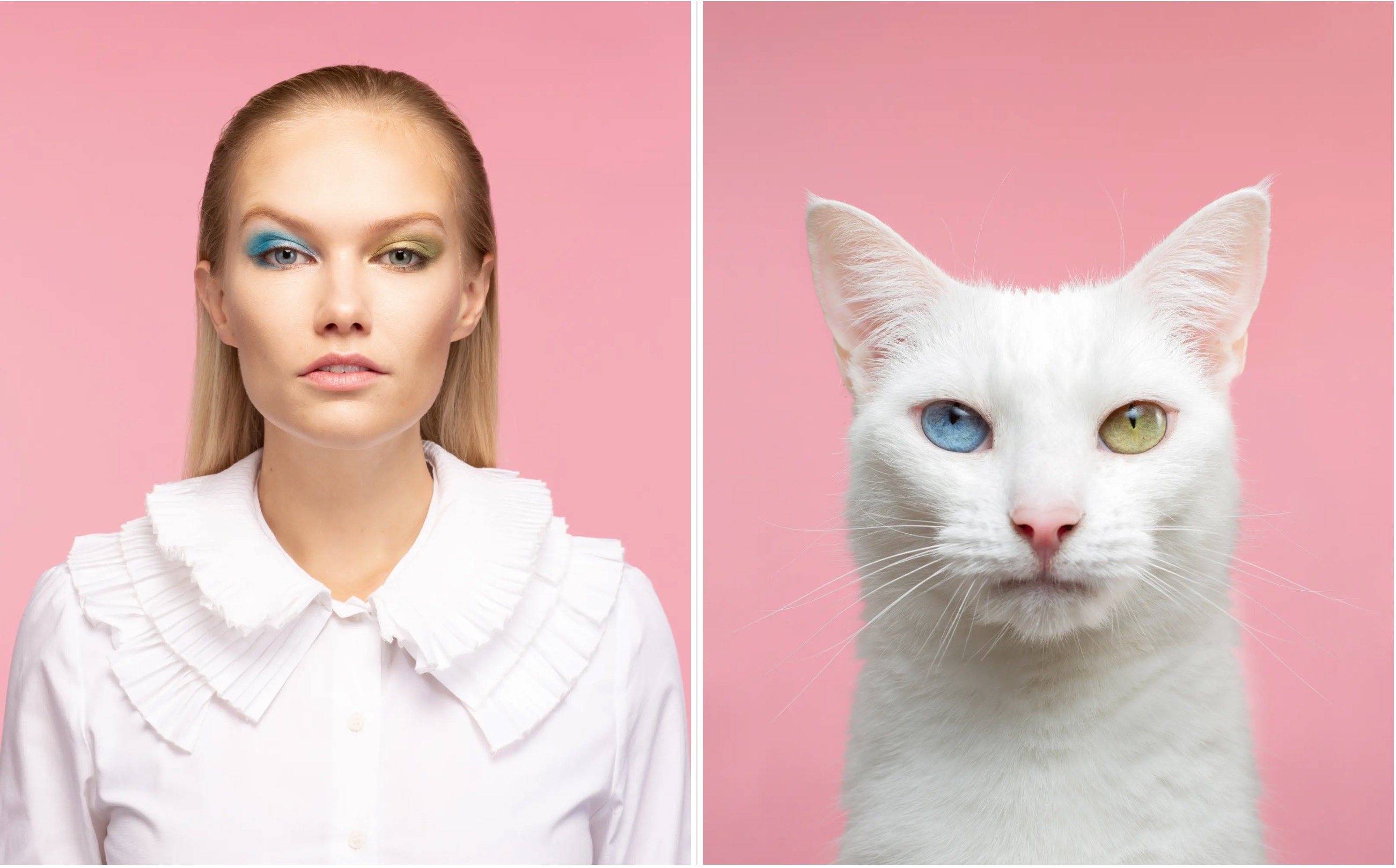 Meo giong nguoi mot cach ky la anh 5