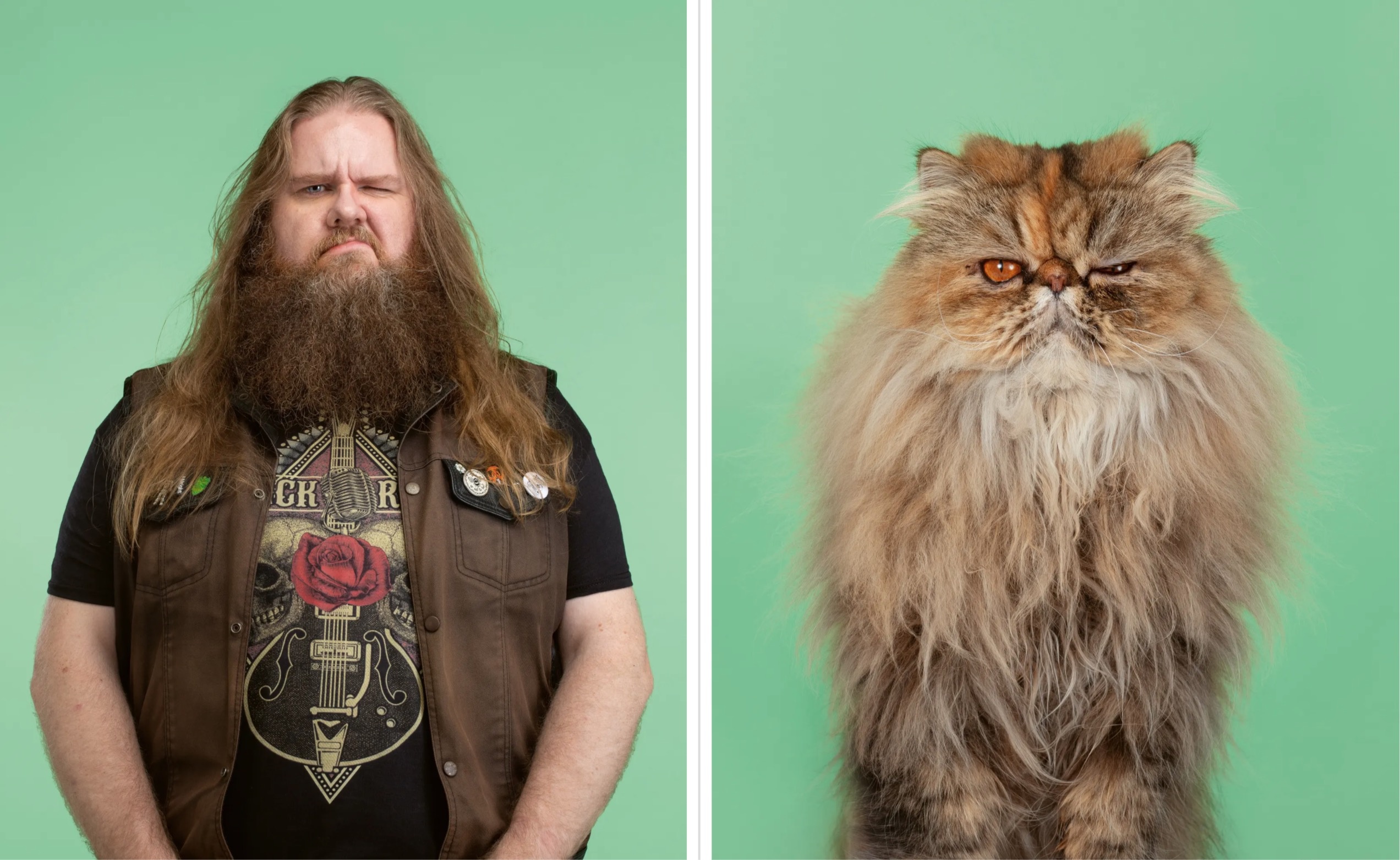 Meo giong nguoi mot cach ky la anh 6