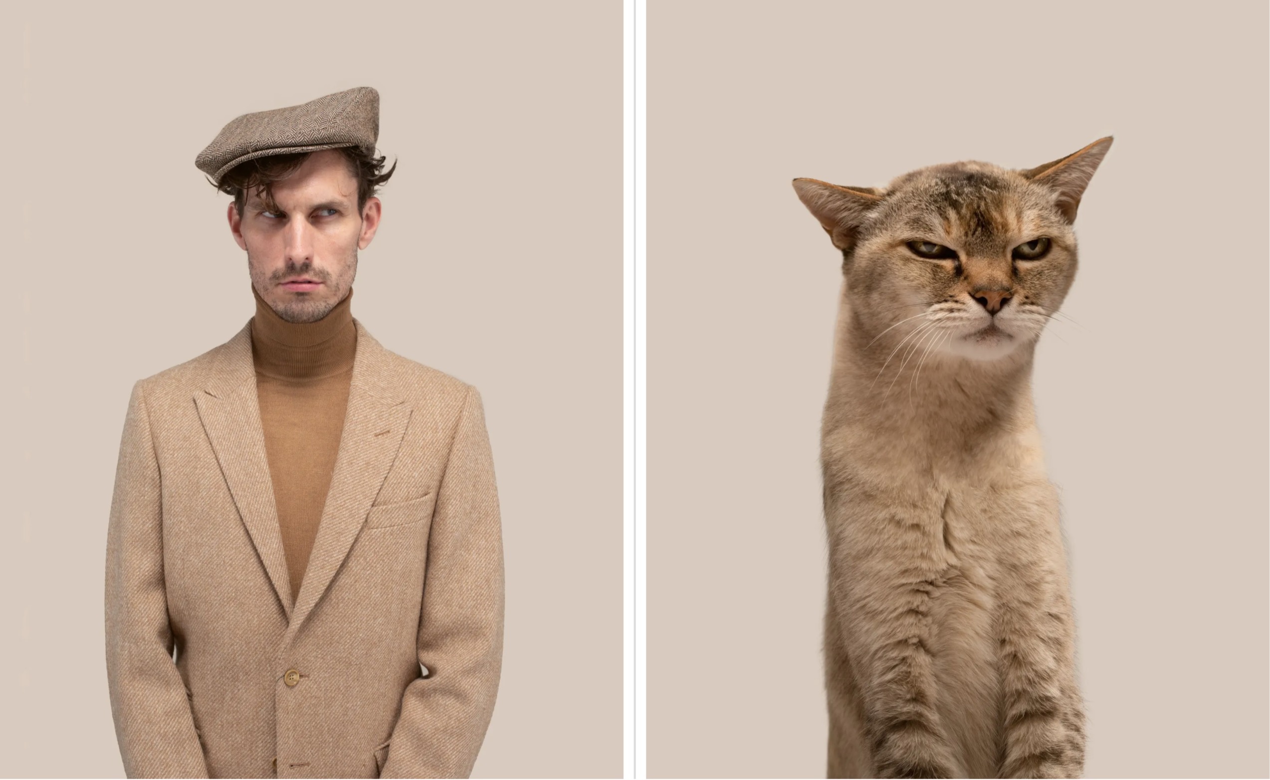 Meo giong nguoi mot cach ky la anh 7