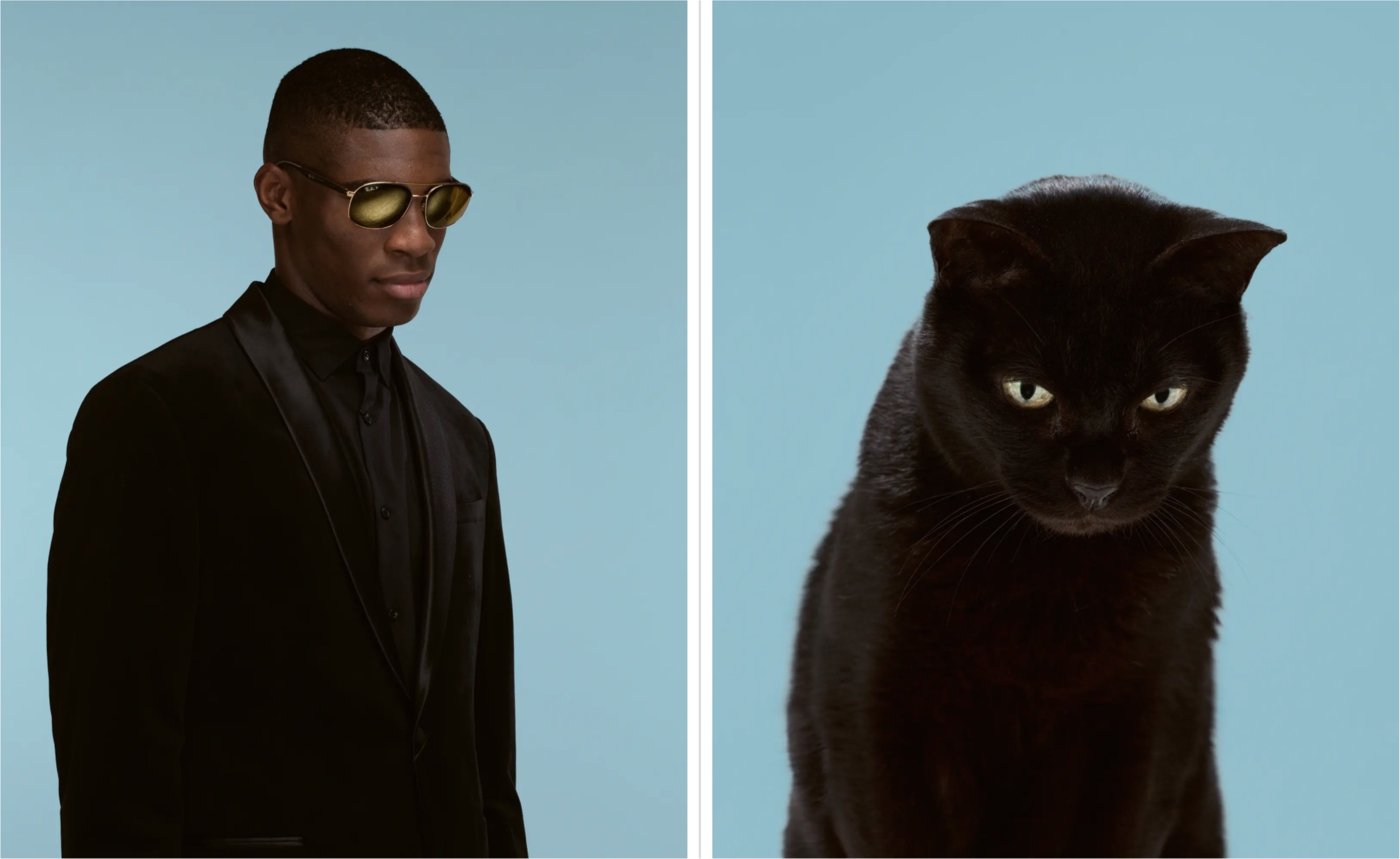 Meo giong nguoi mot cach ky la anh 8