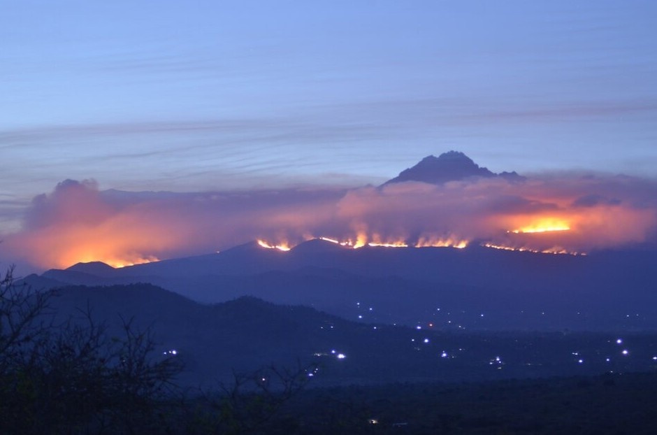 Chay rung de doa he sinh thai cua nui Kilimanjaro hinh anh