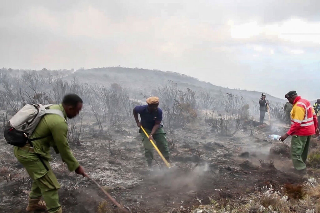 Chay rung tren dinh Kilimanjao anh 1