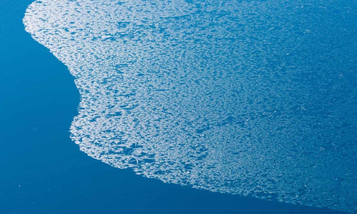 Bang Bac Cuc chua hinh thanh, gioi khoa hoc canh bao tham hoa hinh anh