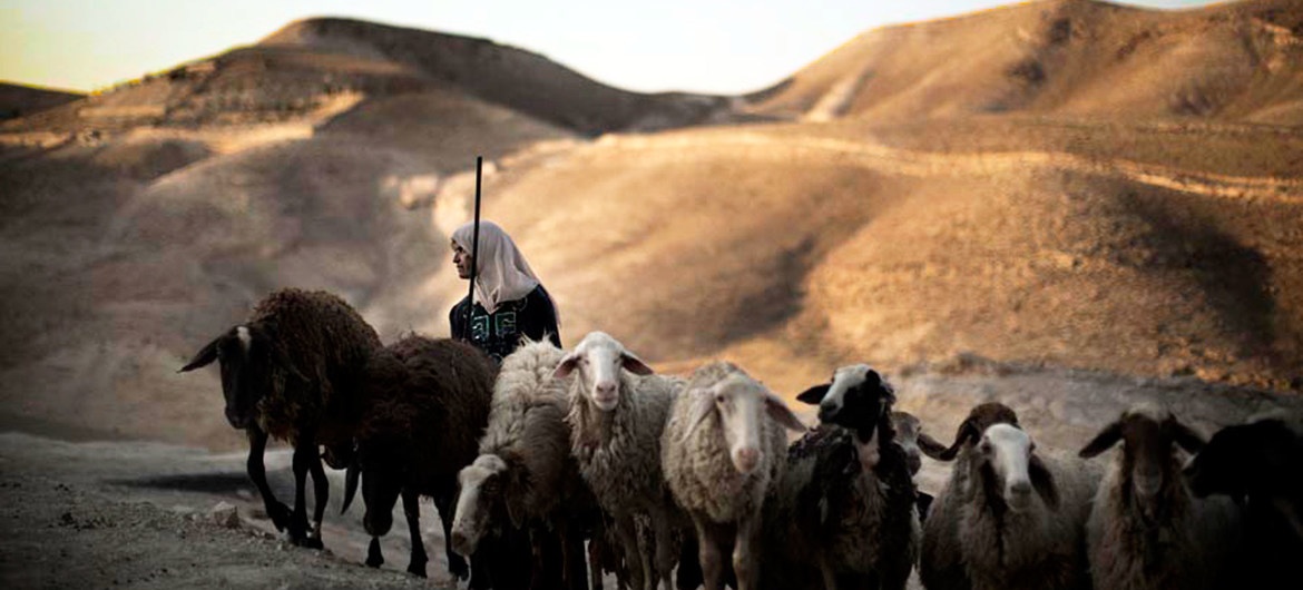 Hon 3 ty nguoi tren the gioi dang thieu nuoc sach anh 1