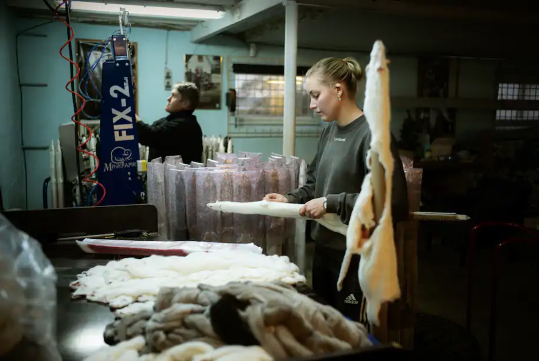 dan mach tieu huy chon chong Covid-19 anh 2