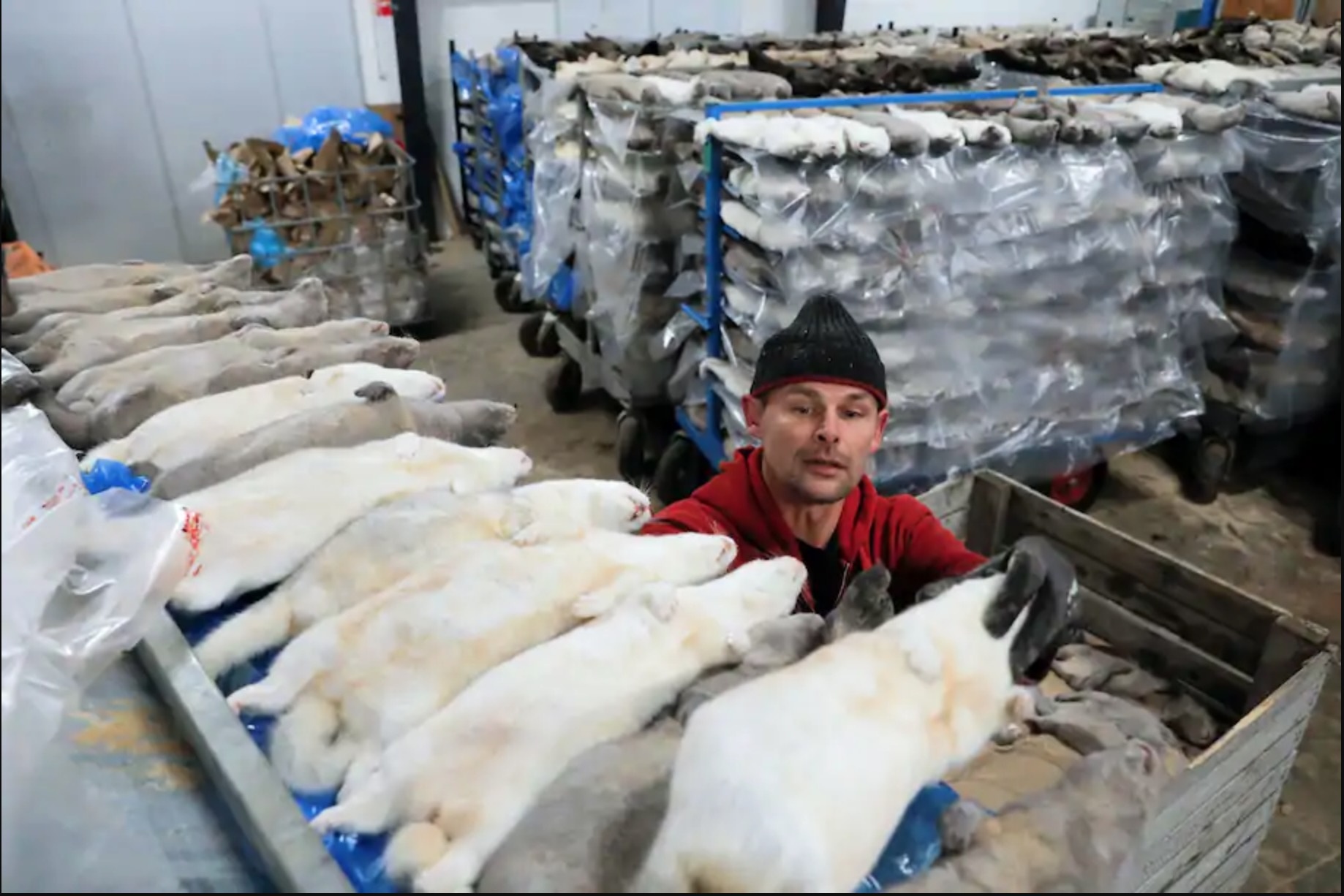 dan mach tieu huy chon chong Covid-19 anh 3