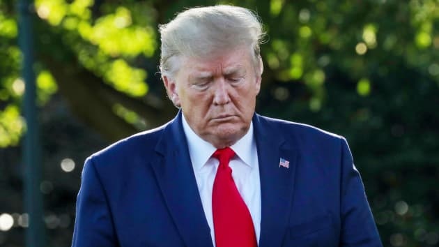 Cong to vien New York da co ho so thue cua ong Trump hinh anh