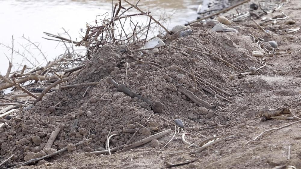 Xac nguoi tu noi chien Ethiopia troi dat den Sudan hinh anh