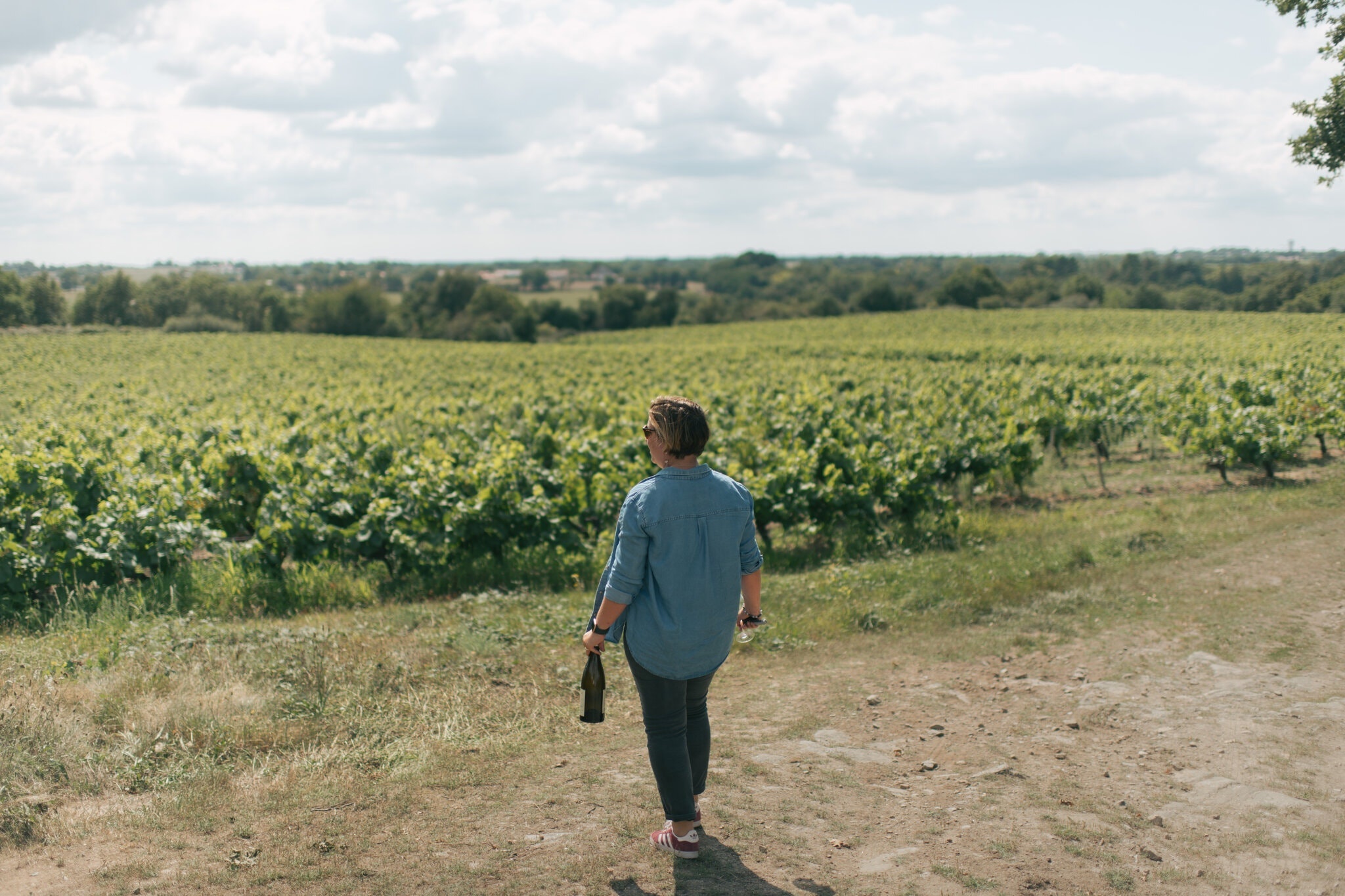 Tieu tan ca su nghiep vi mot trieu chung Covid-19 hinh anh