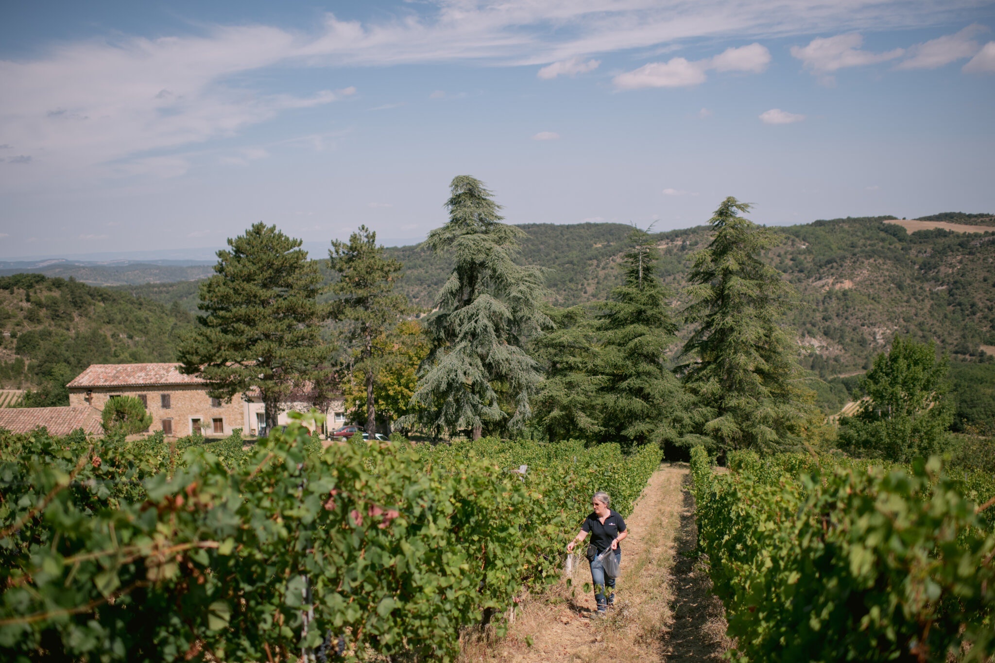 Ruou vang Phap Covid-19 anh 1