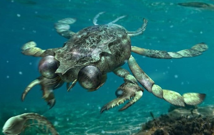 Phat hien cua tien su voi doi mat khong lo hinh anh