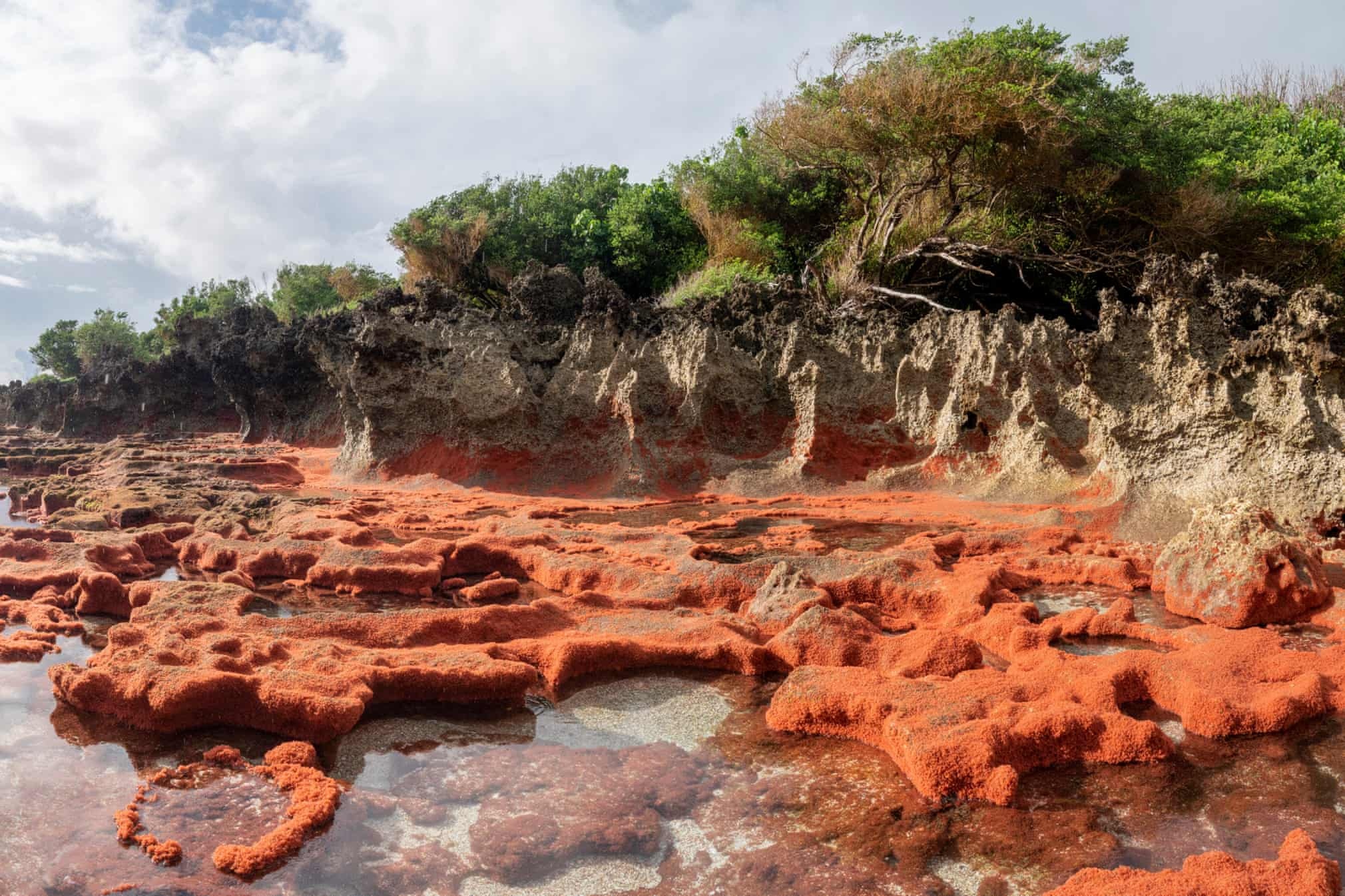 cua do australia di cu anh 10