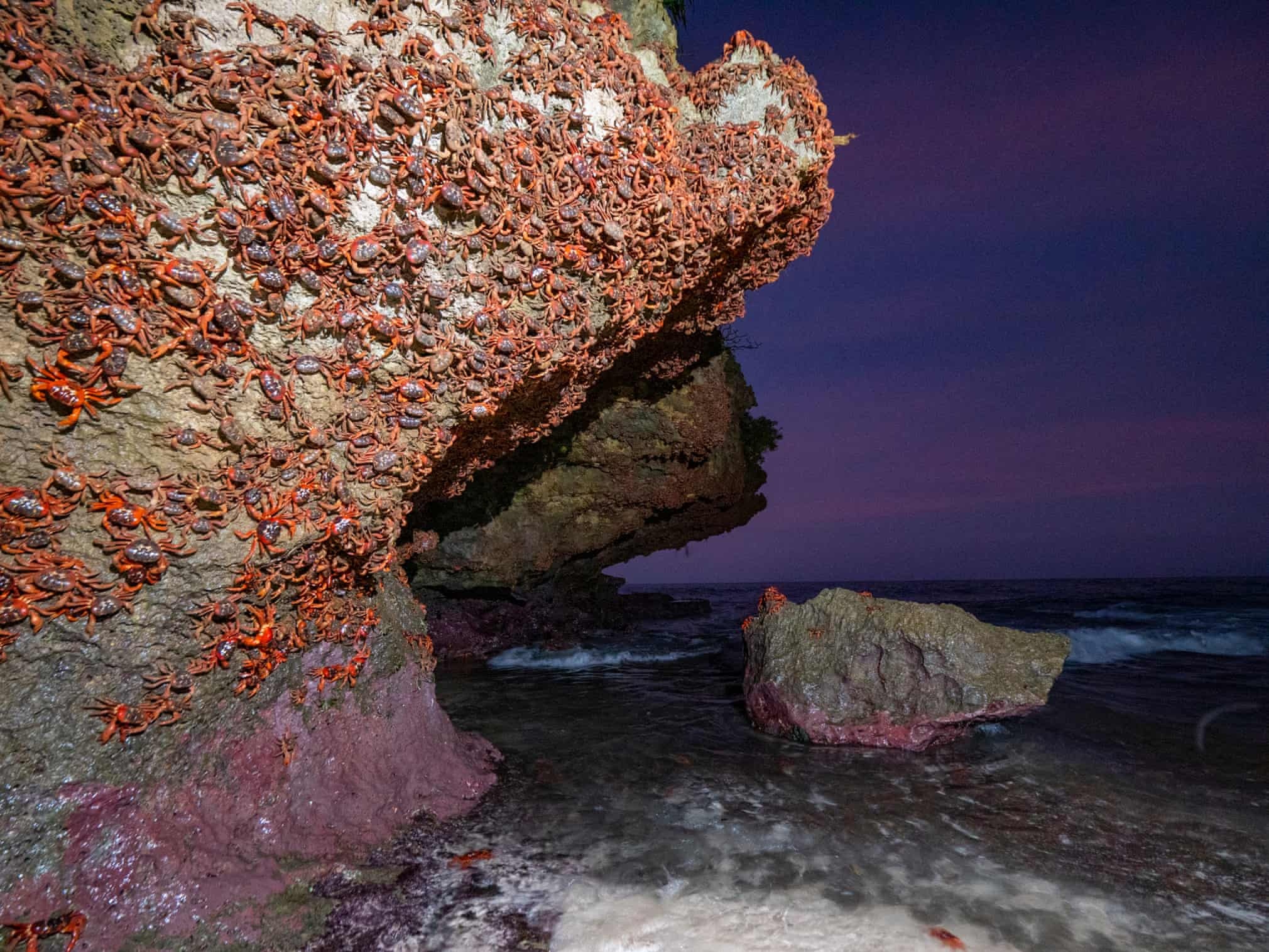 cua do australia di cu anh 5