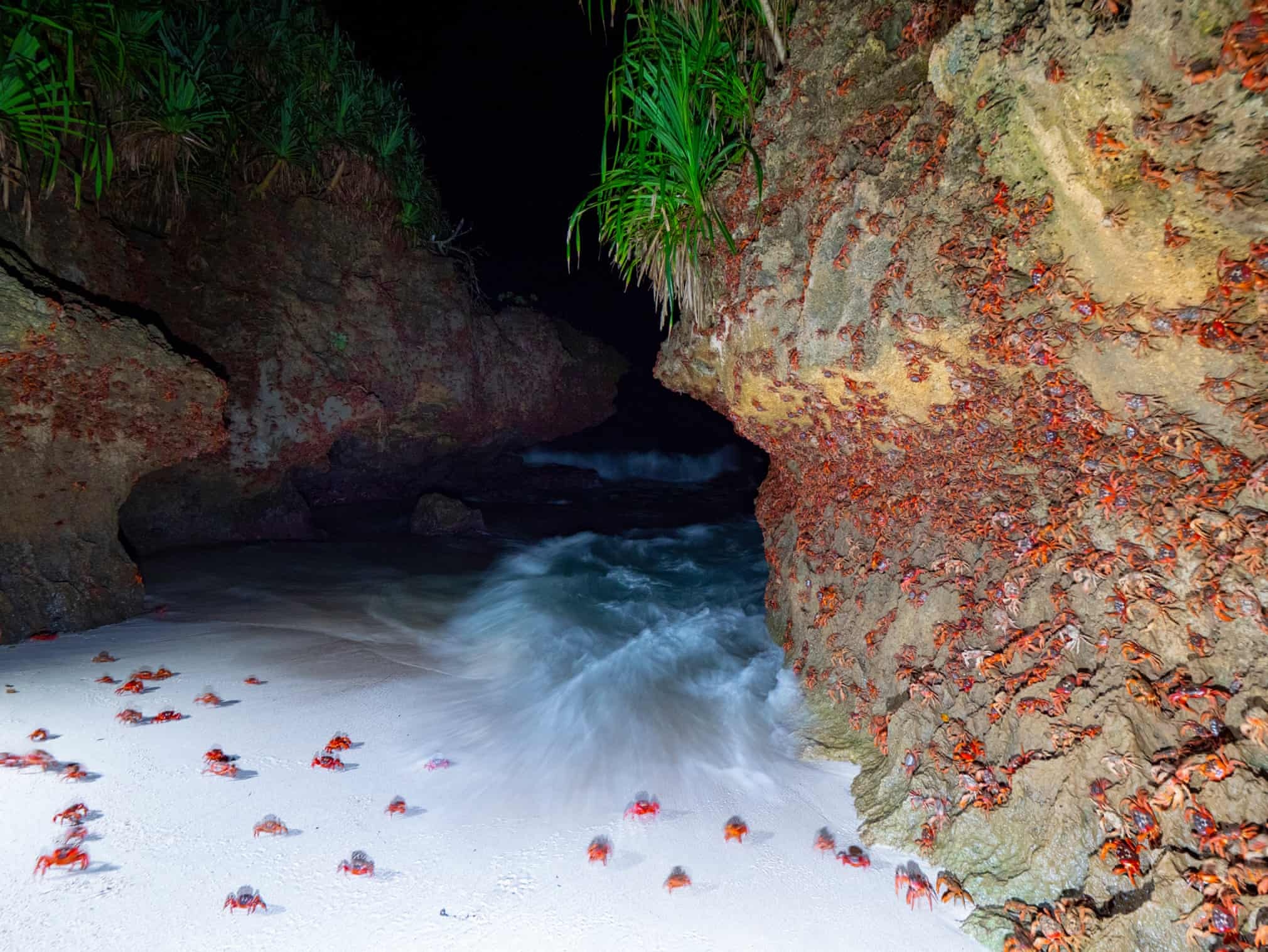 cua do australia di cu anh 7