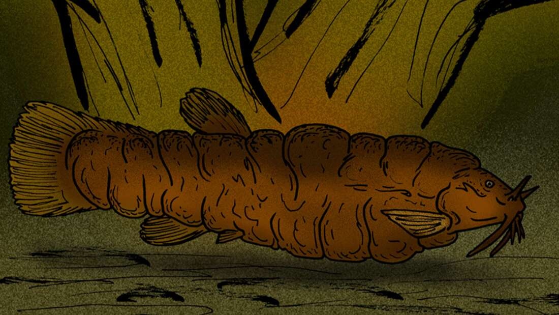 hoi sinh nhung loai da tuyet chung anh 1