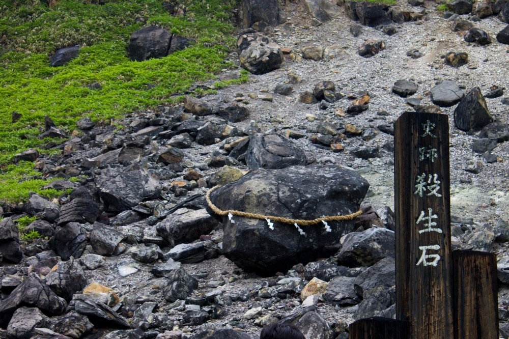 da sat sinh bi vo o Nhat Ban anh 4