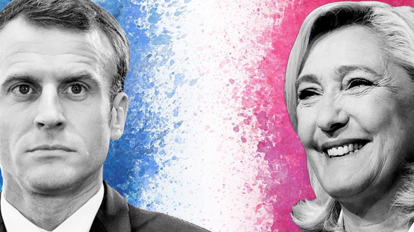 Ngoi lang heo lanh nhung luon bi go cua khi Phap bau cu tong thong hinh anh