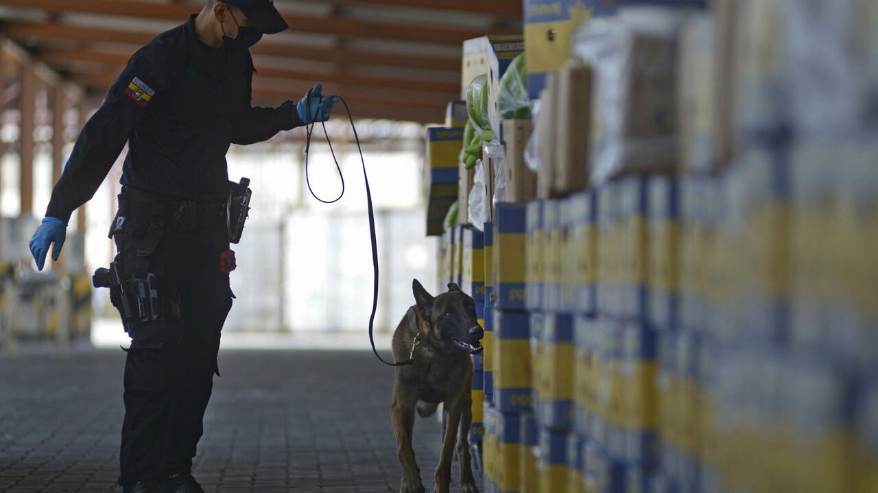 cocaine nam my den chau au nhu the nao anh 2