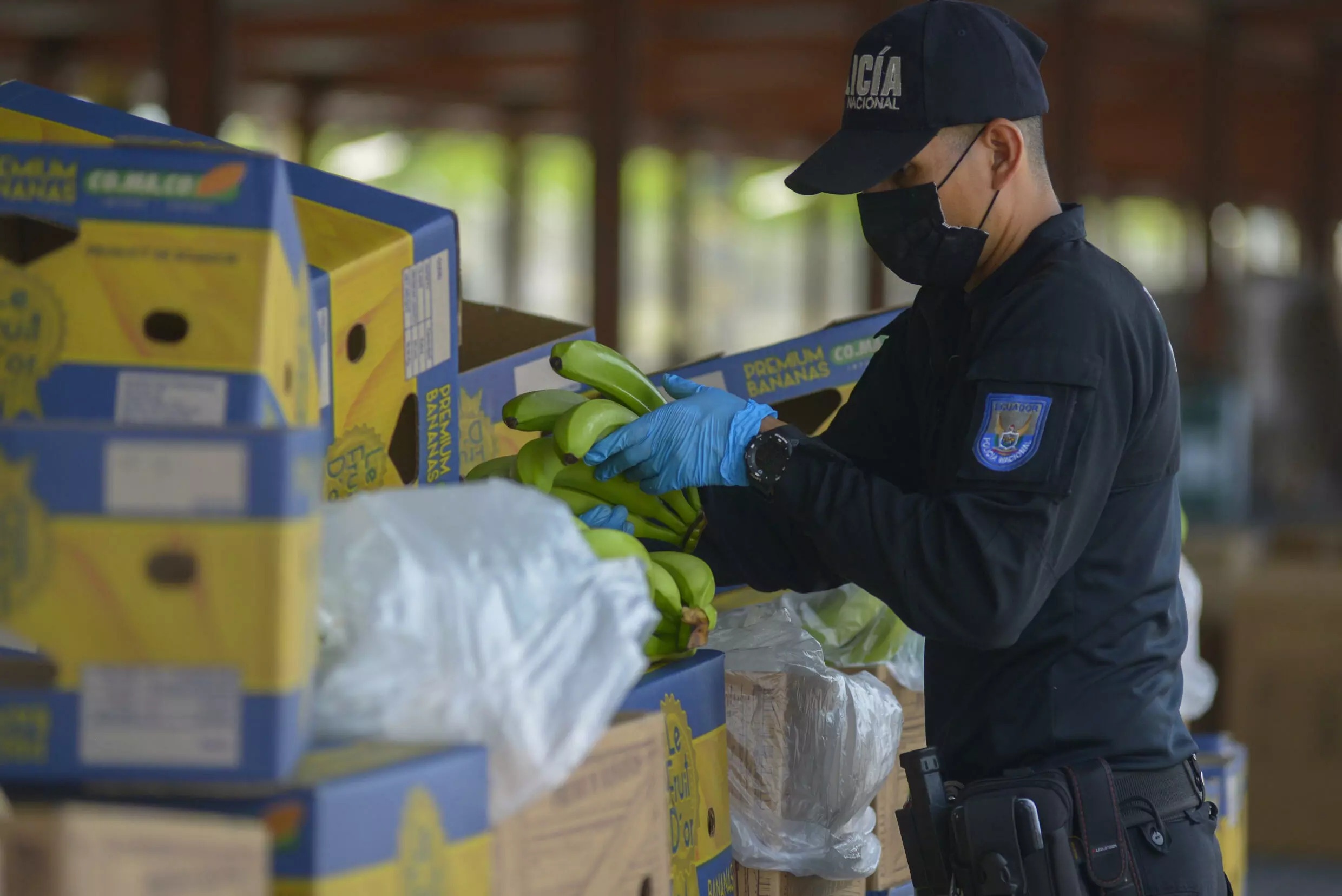 Bang dang pha khoa container, tron hang tan ma tuy vao chuoi va tra hinh anh