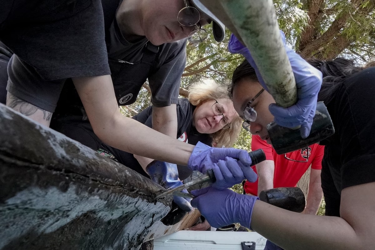 The nhan tan anthropocene anh 3