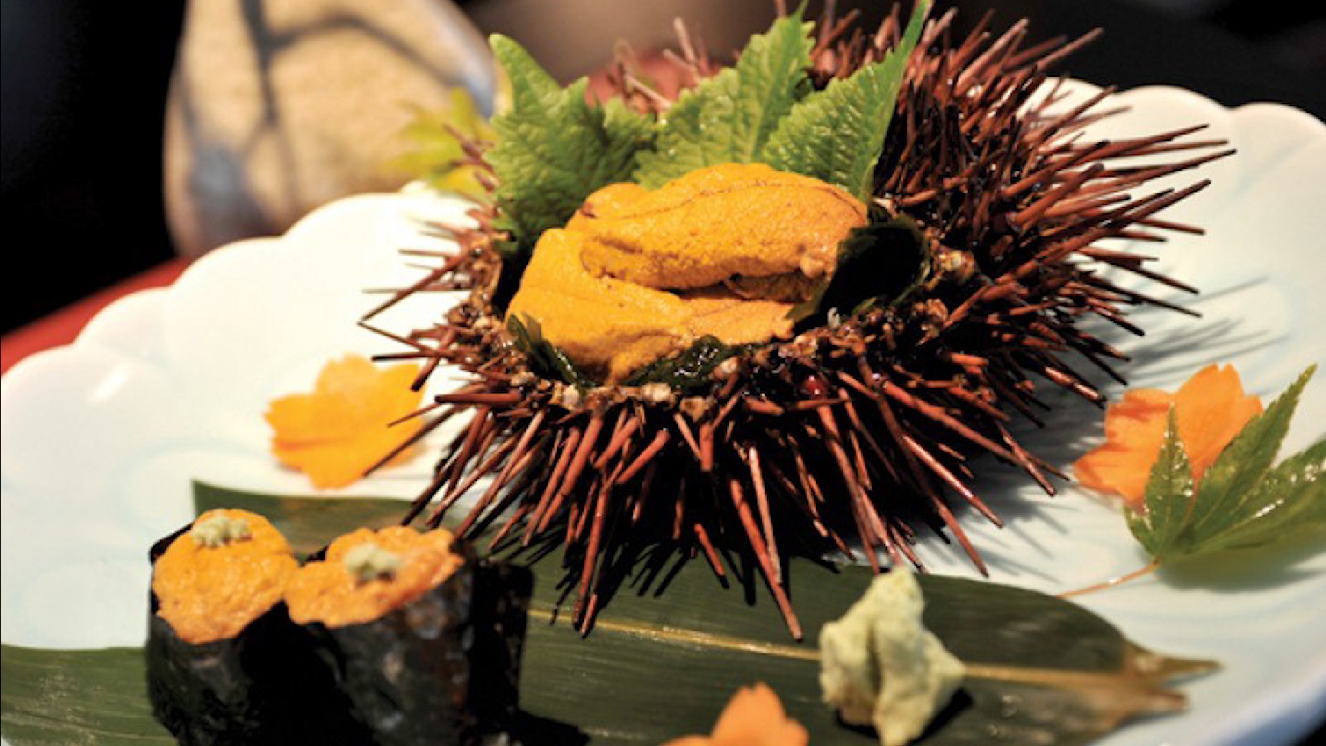 Ly do nhum bien khong hiem nhung lai dat hinh anh