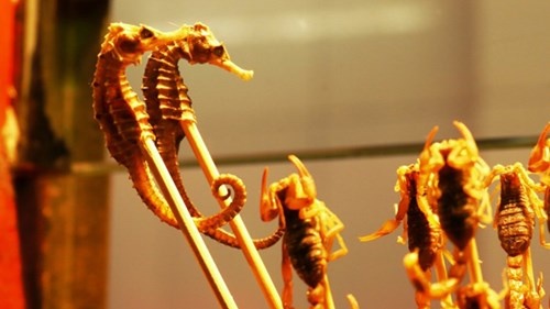 Mon ca ngua xien que tot cho phai manh hinh anh