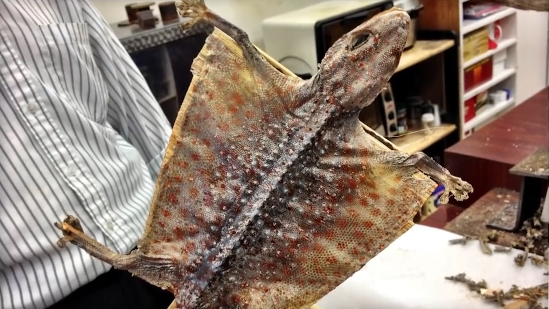 Ret nuong, than lan bay chien va cac mon an kinh di o Trung Quoc hinh anh