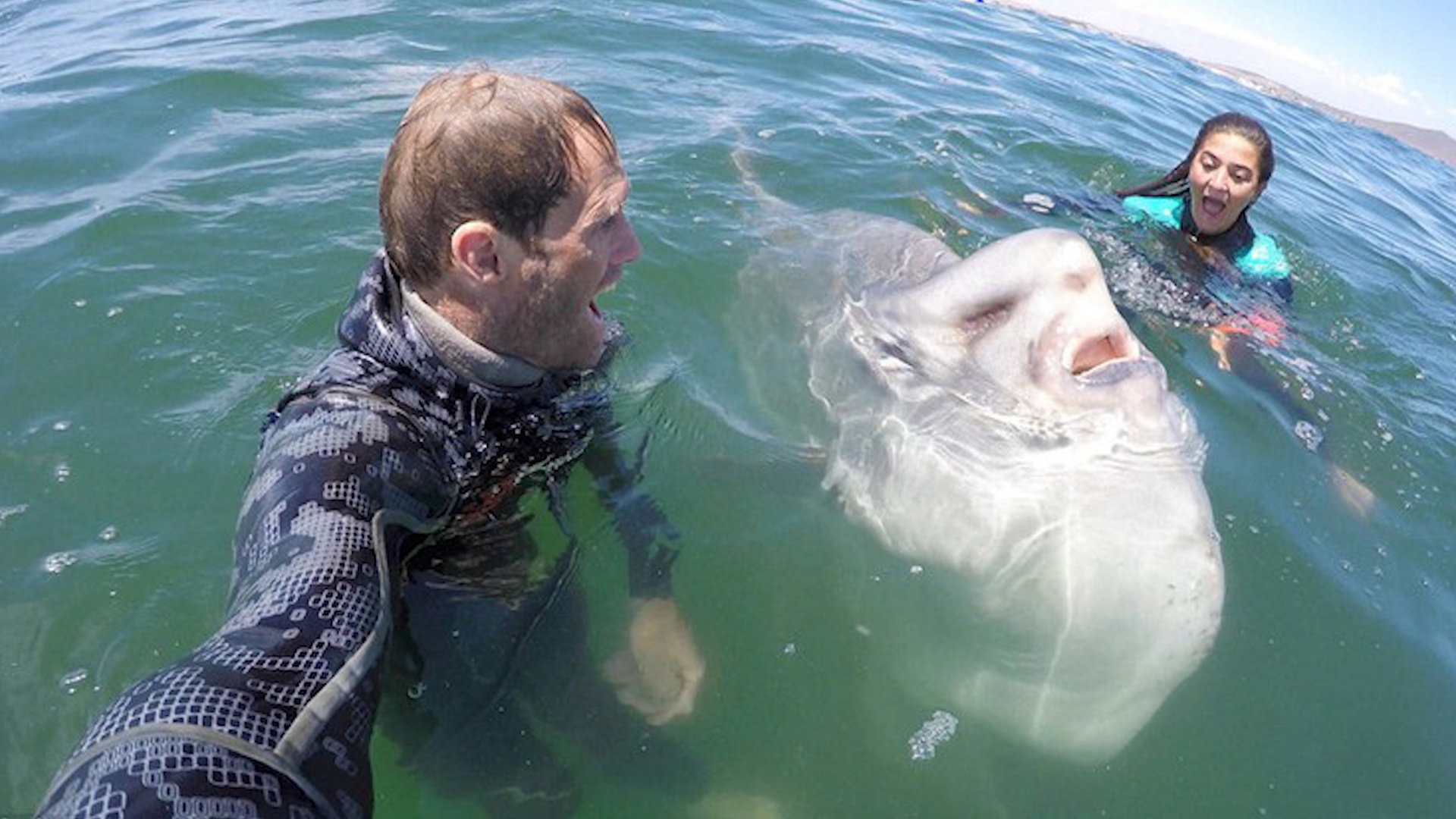 Phat hien loai ca ky di o gan bo bien My hinh anh