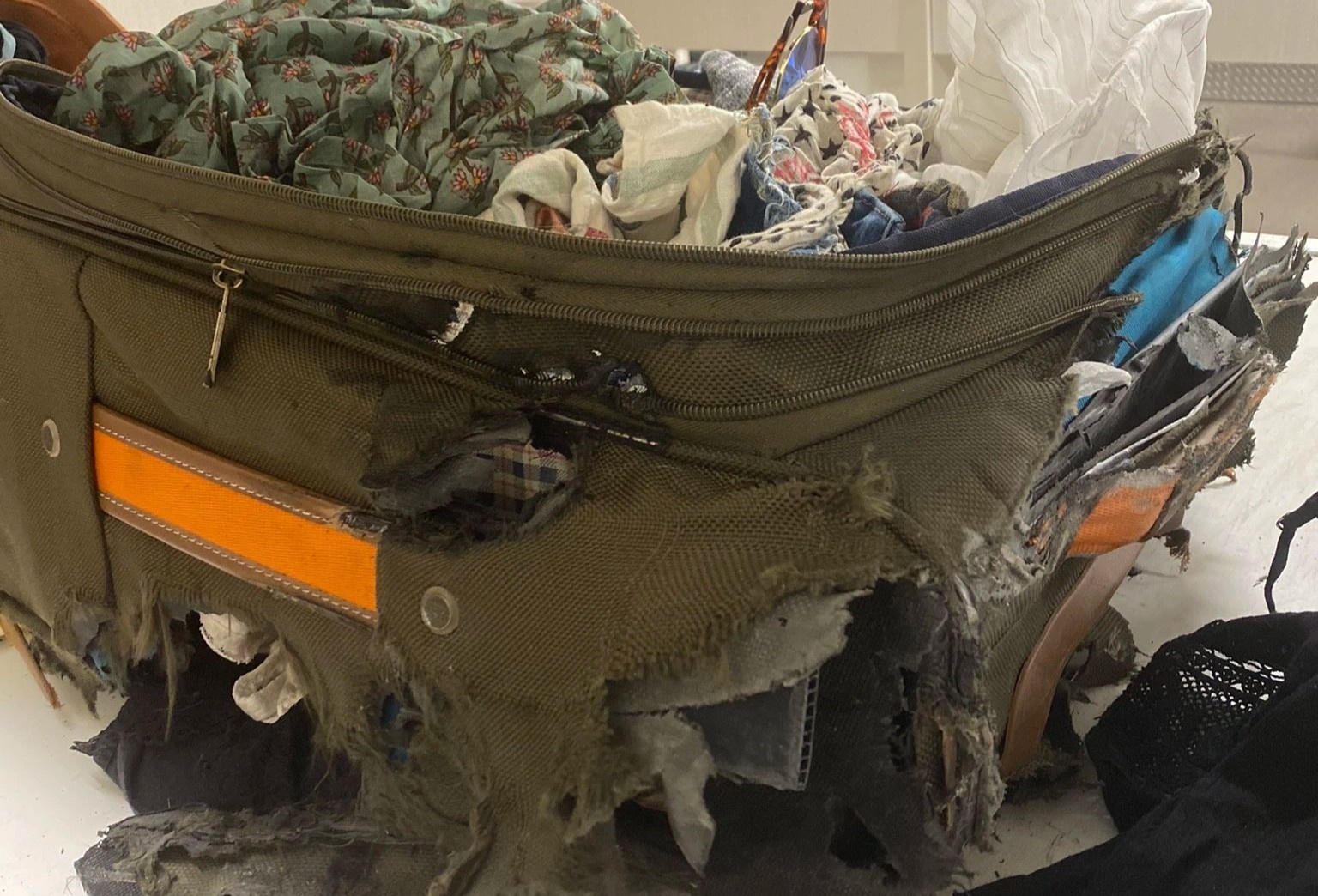 Nu du khach My bang hoang nhan vali nat buom hinh anh