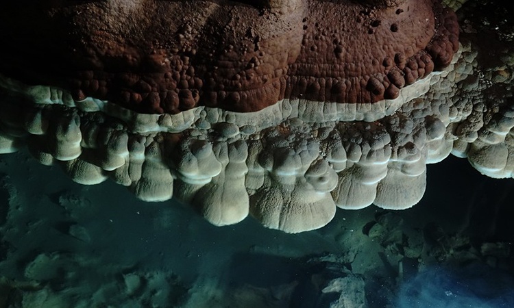 Tim thay 'may hang dong' hiem co o Trung Quoc hinh anh