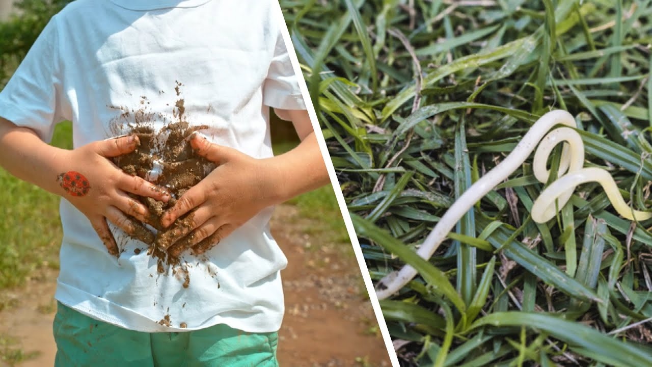 Cach phong nhiem giun, san o tre em hinh anh