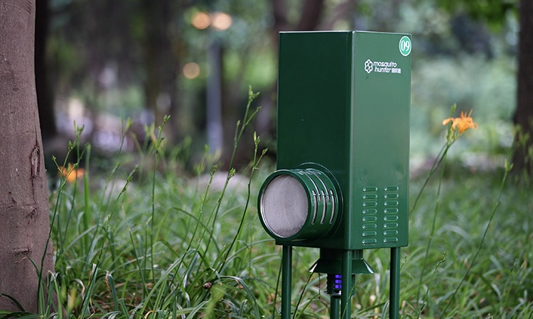 Cong vien 'khong muoi' hut khach o Trung Quoc hinh anh