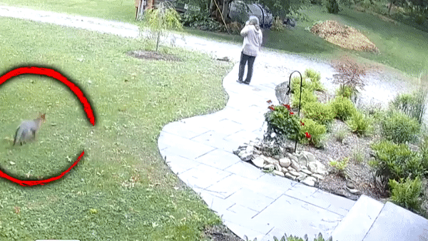 Cao dai tan cong nguoi phu nu ngay truoc nha hinh anh