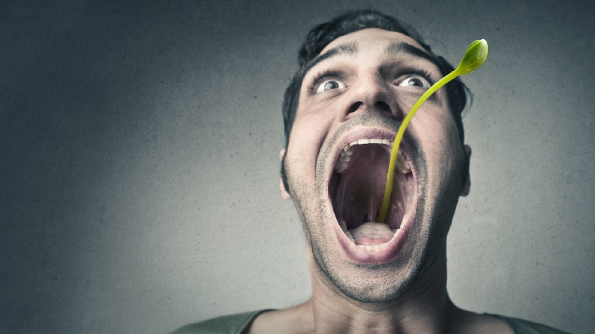 Dieu gi se xay ra neu cay moc trong bung? hinh anh