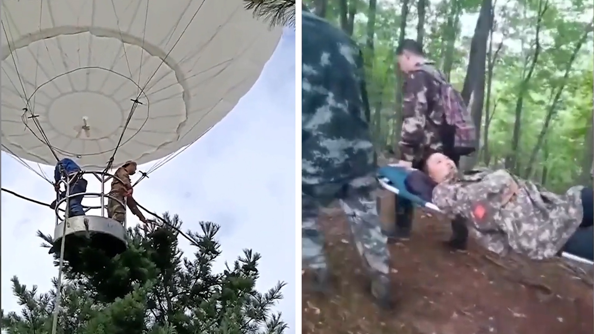 Thu hoach hat thong, nguoi dan ong bi thoi bay 300 km hinh anh