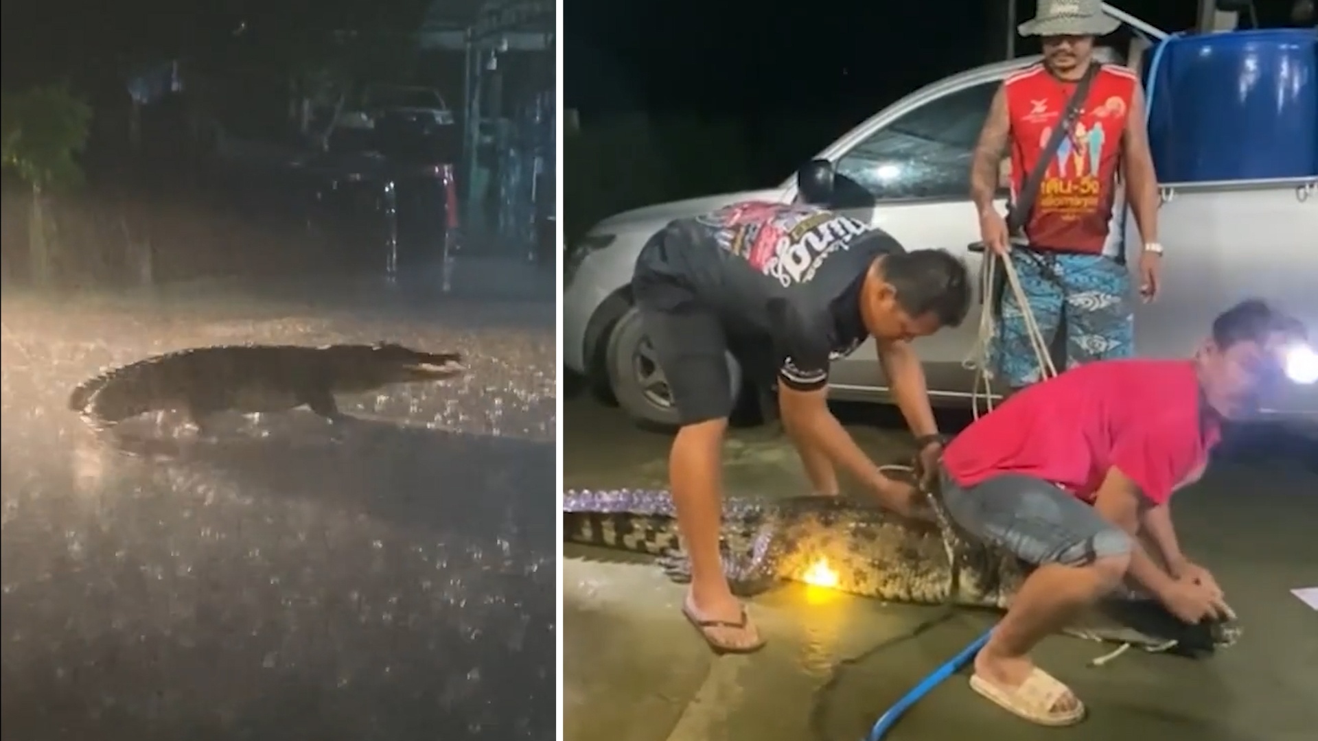 Bat ca sau bo tren cao toc sau tran lut hinh anh