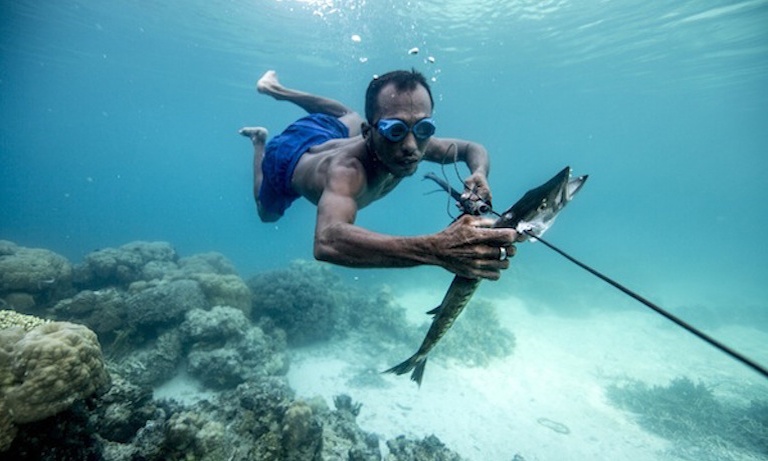 Bo toc 'nguoi ca' song du muc tren bien hinh anh