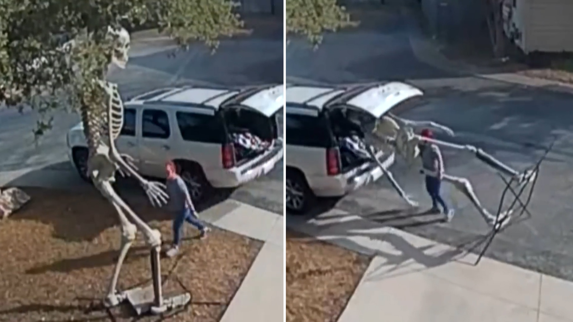 Bo xuong Halloween cao hon 2 m bi danh cap hinh anh