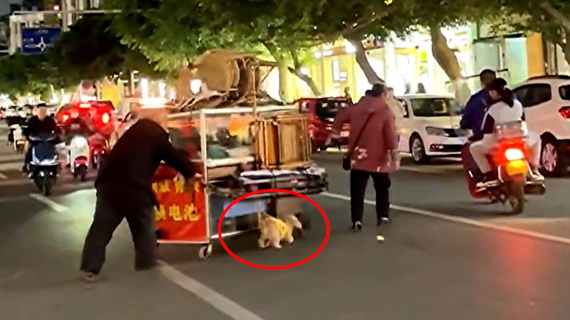 Chu cho giup chu keo xe qua duong hinh anh