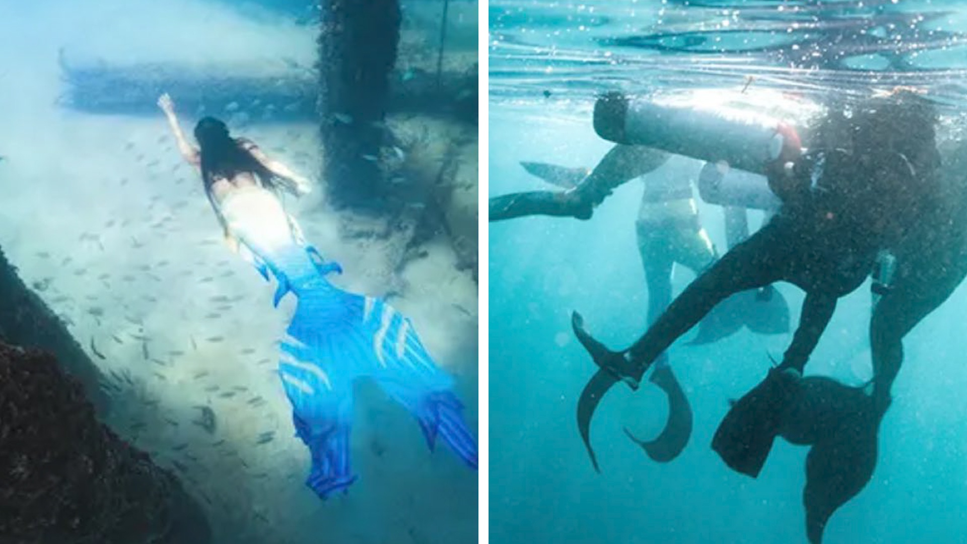 'Nang tien ca' cuu tho lan khoi chet duoi o My hinh anh