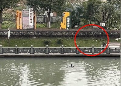 Tai xe xe tai nhay xuong song cuu co gai khoi duoi nuoc hinh anh