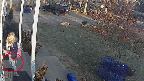 Be gai 5 tuoi bi gau meo tan cong o My hinh anh