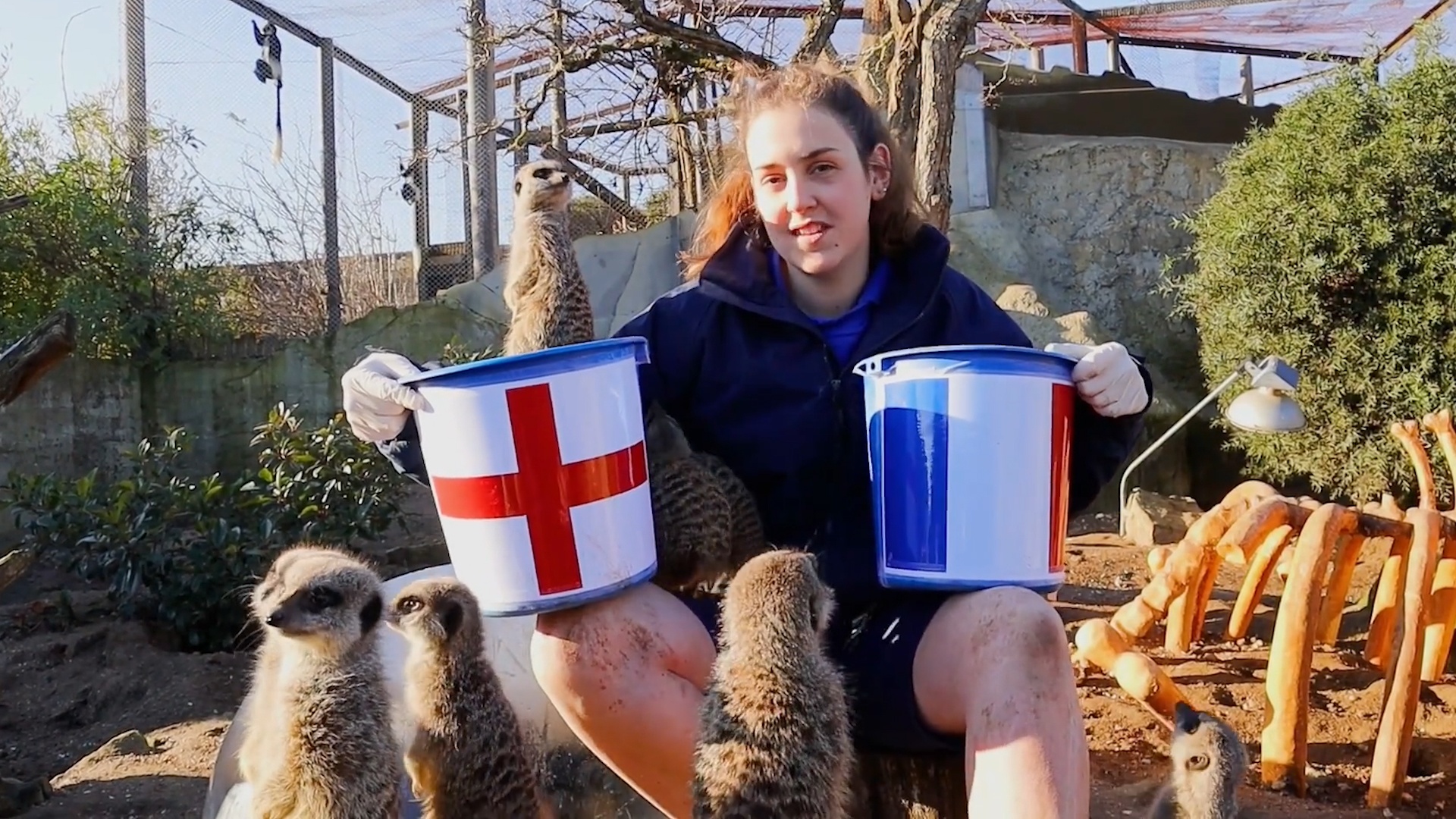 'Nha tien tri' cay van du doan tran Anh vs Phap hinh anh